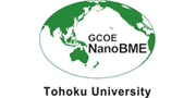 Global Nano-Biomedical Engineering Network Centre